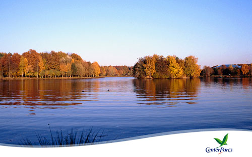 center parcs heijderbos in de herfst