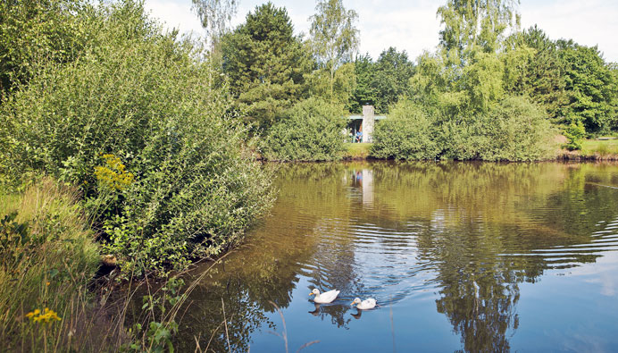 center parcs natuur