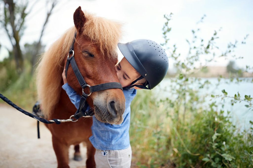 pony experience center parcs