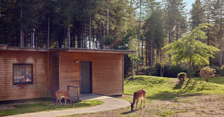 parkzoeker bois aux daims