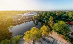 centerparcs beste moment om te boeken